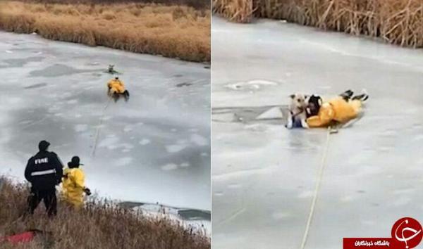 عملیات نفس گیر نجات سگ از رودخانه یخ زده